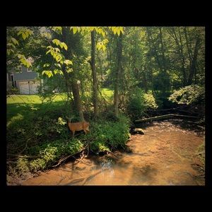 I’m selling clothes